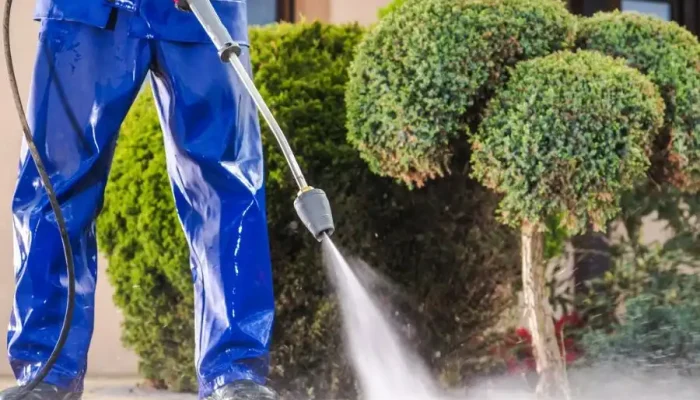 Worker pressure washing a sidewalk near trimmed bushes.